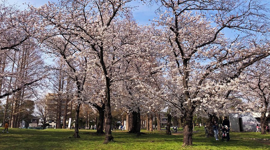 🏞️ 시노자키 공원 이미지 4